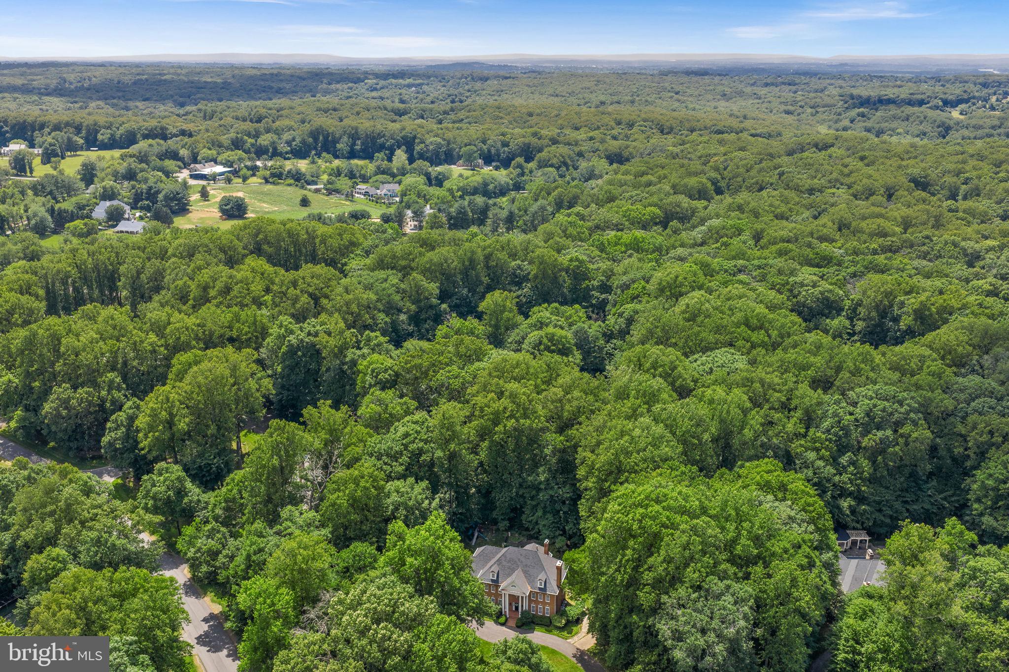 190 Falcon Ridge Road Great Falls, VA 22066 - Photo 105 of 122