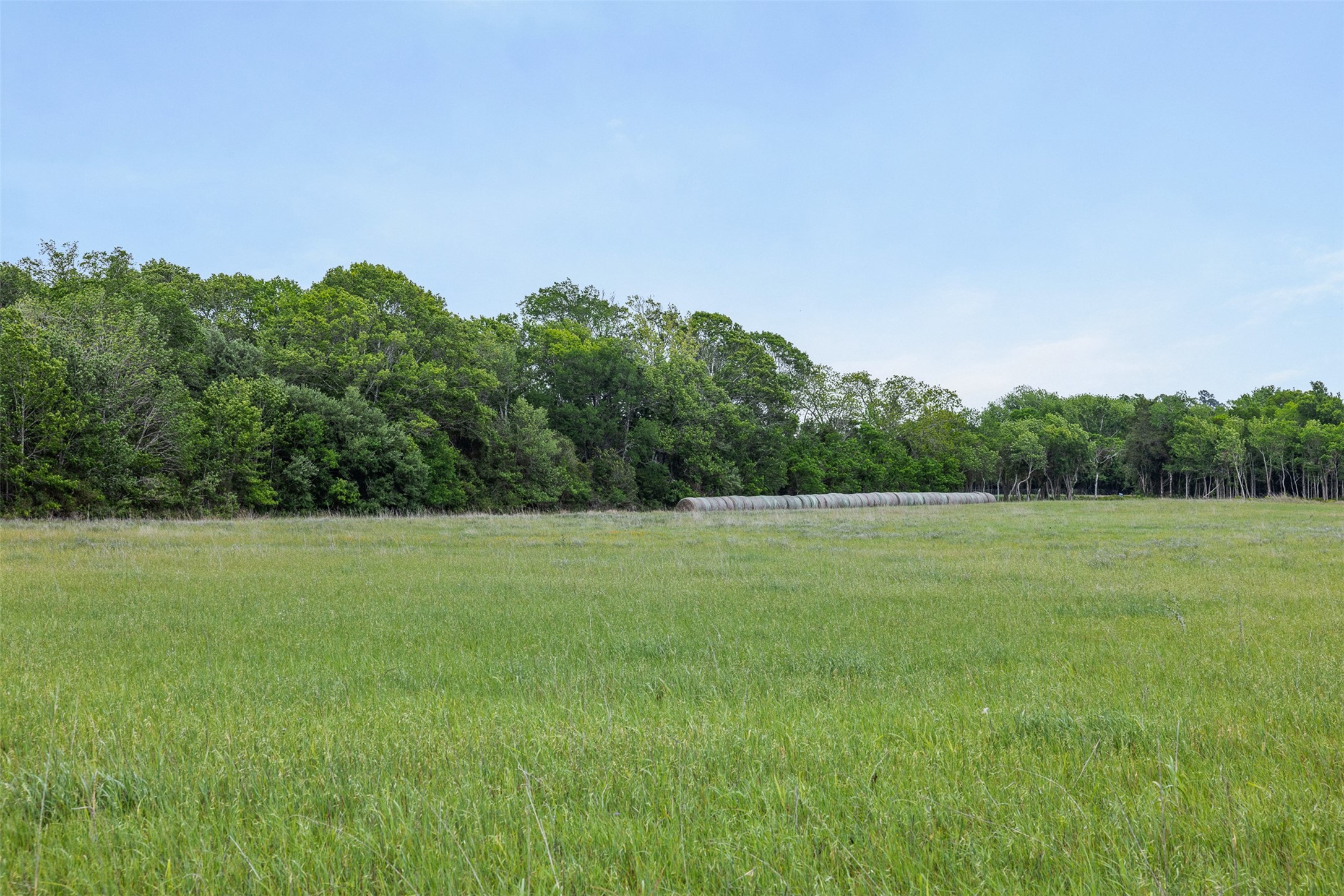 Tbd Bauer Rummel Road Round Top, TX 78954 - Photo 13 of 30