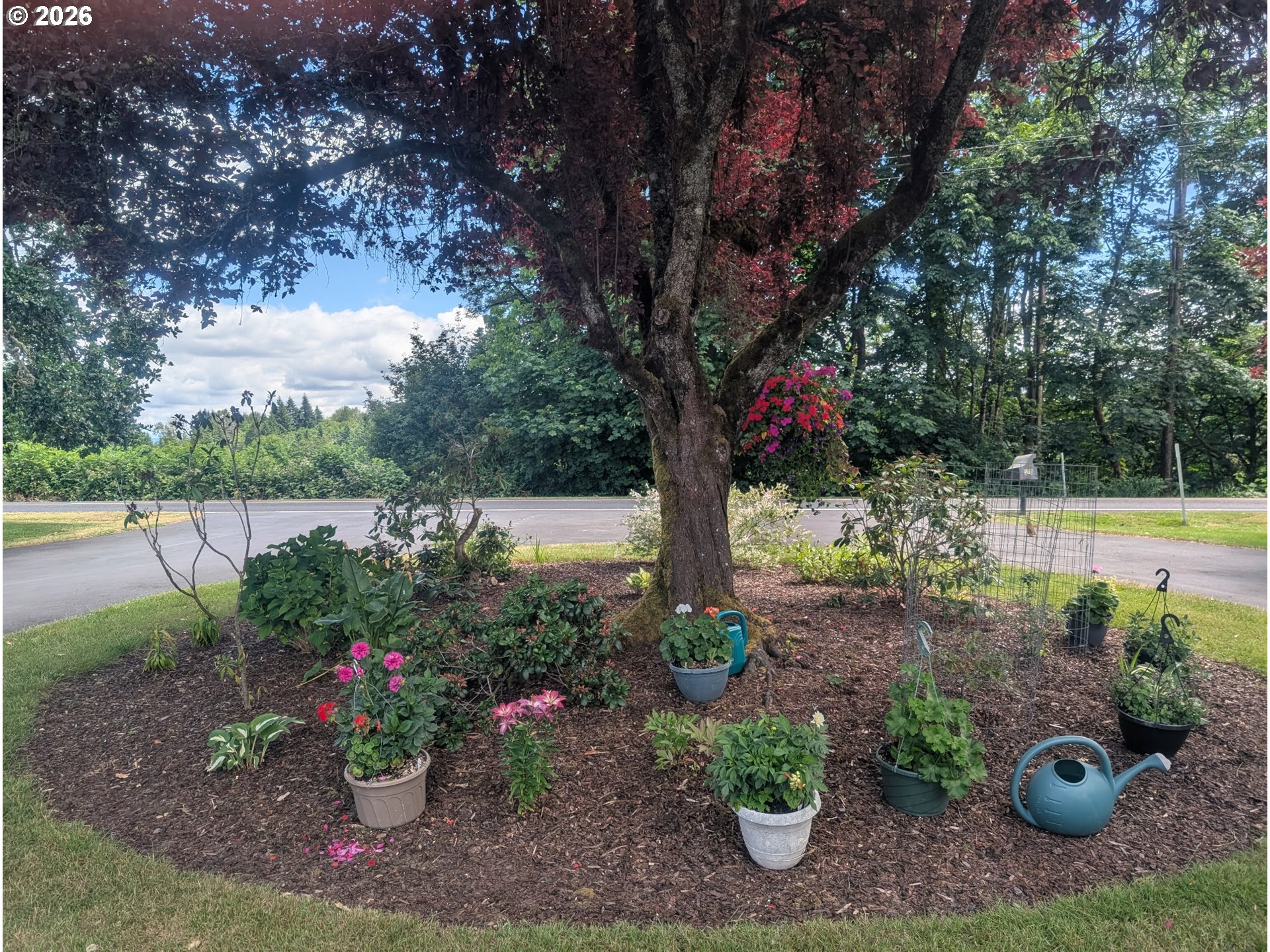 570 Drews Prairie Road Winlock, WA 98596 - Photo 14 of 41 a view of a garden with a patio