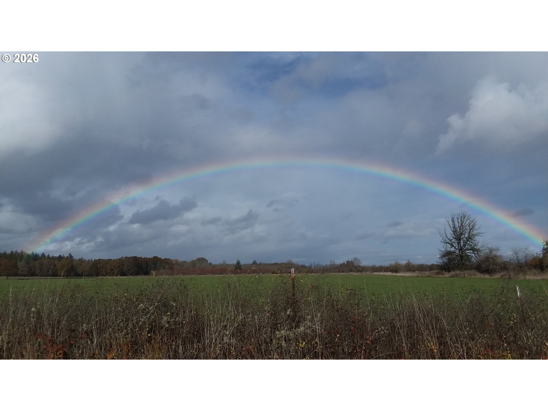 570 Drews Prairie Road Winlock, WA 98596 - Photo 4 of 41