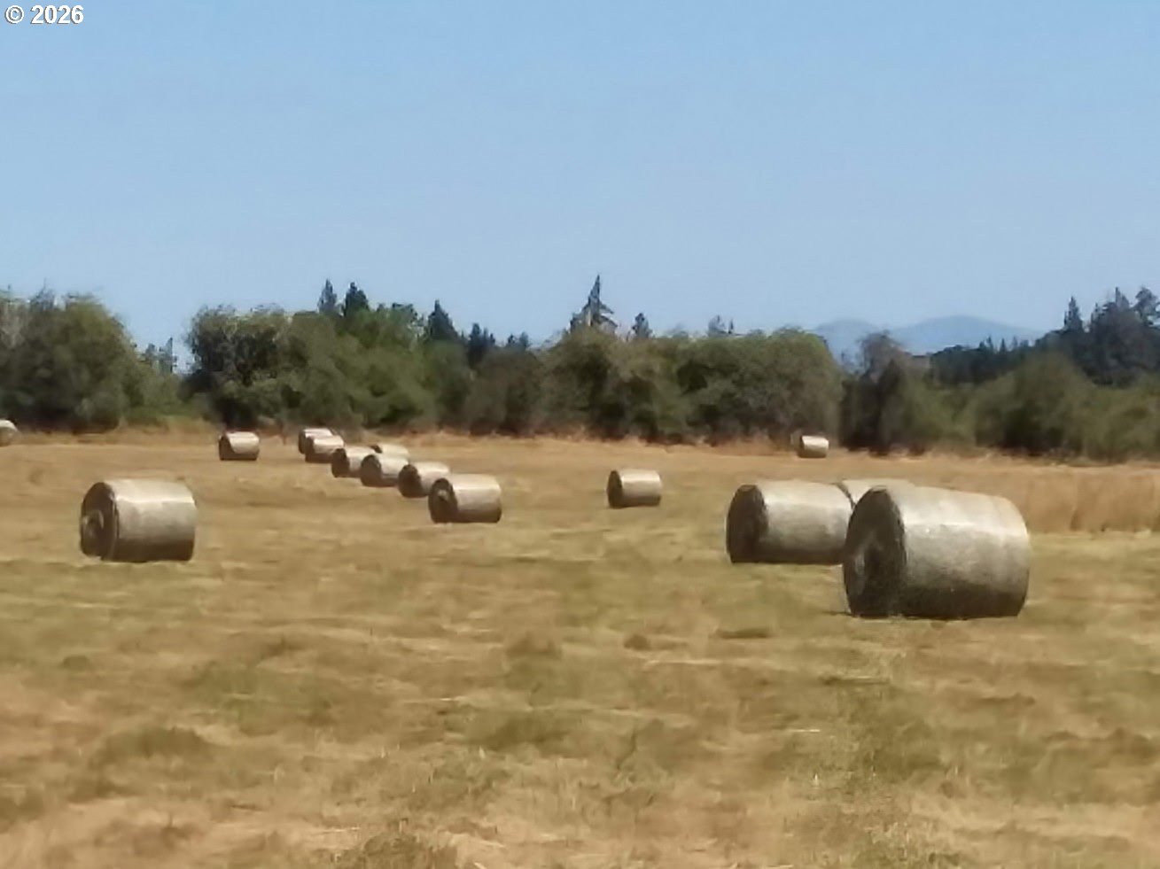 570 Drews Prairie Road Winlock, WA 98596 - Photo 5 of 41