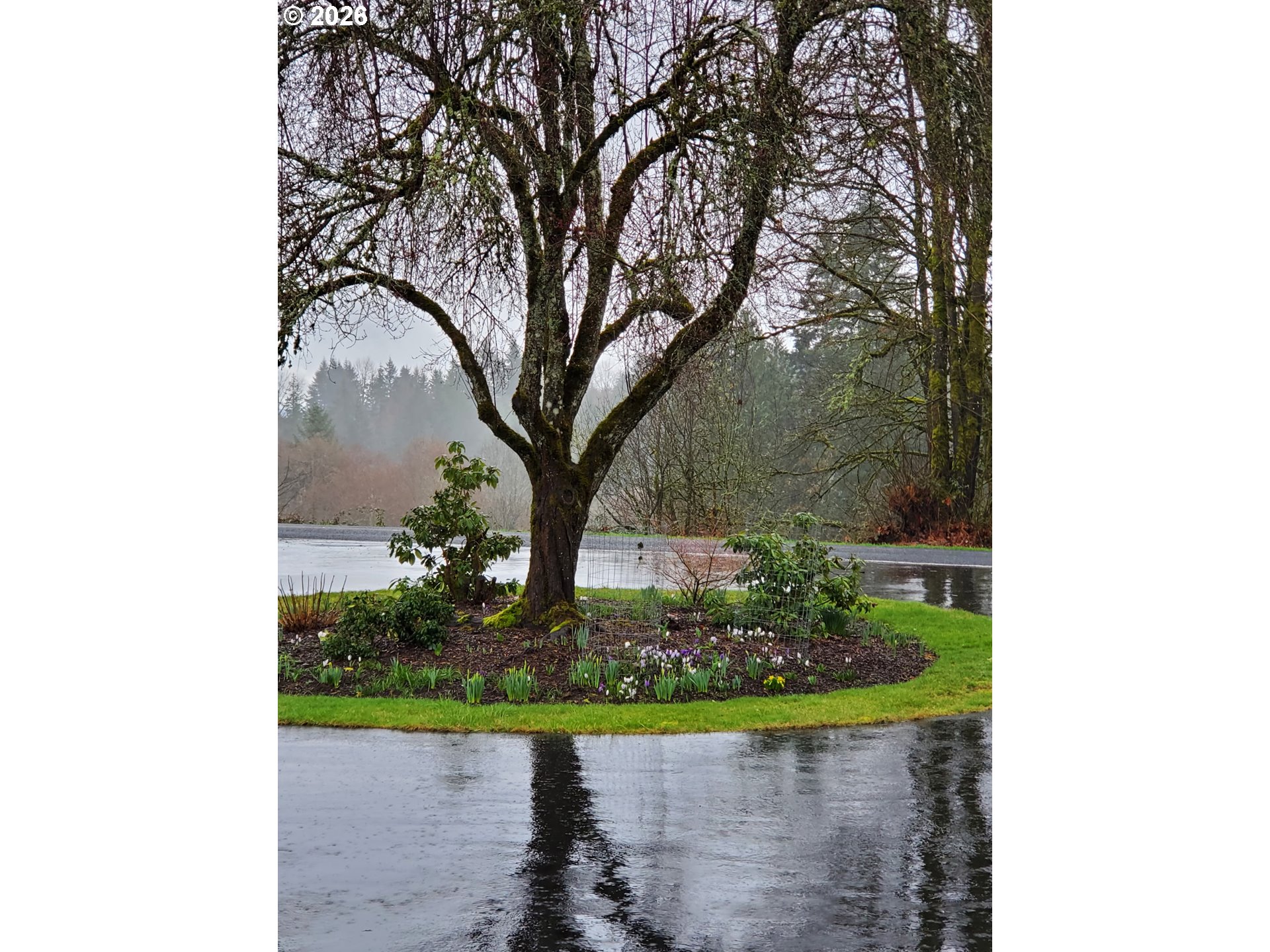 570 Drews Prairie Road Winlock, WA 98596 - Photo 10 of 41 a small garden with trees in front of it