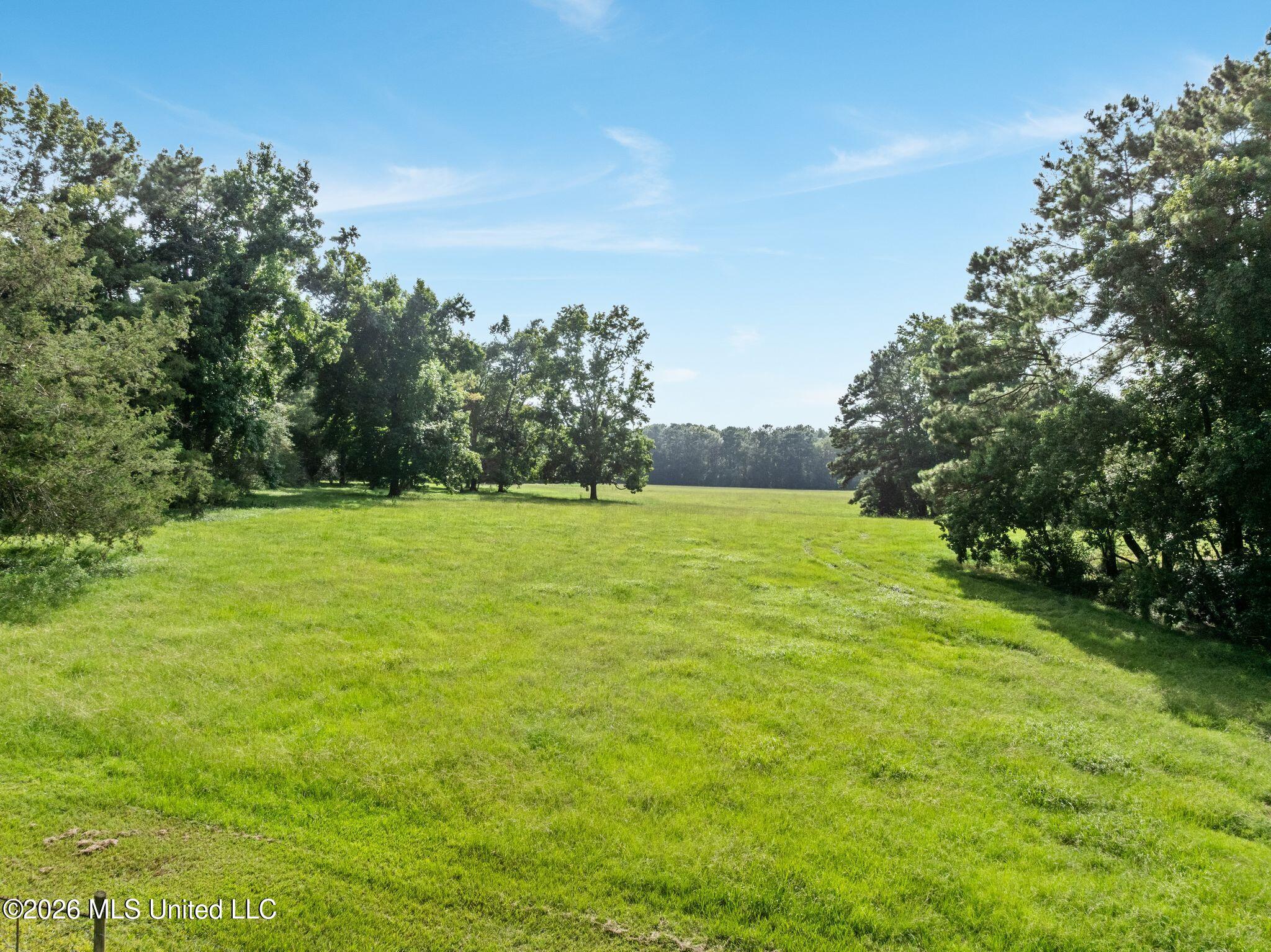 2111 Old Brookhaven Road Summit, MS 39666 - Photo 65 of 102 2111_Old_Brookhaven_Rd-89
