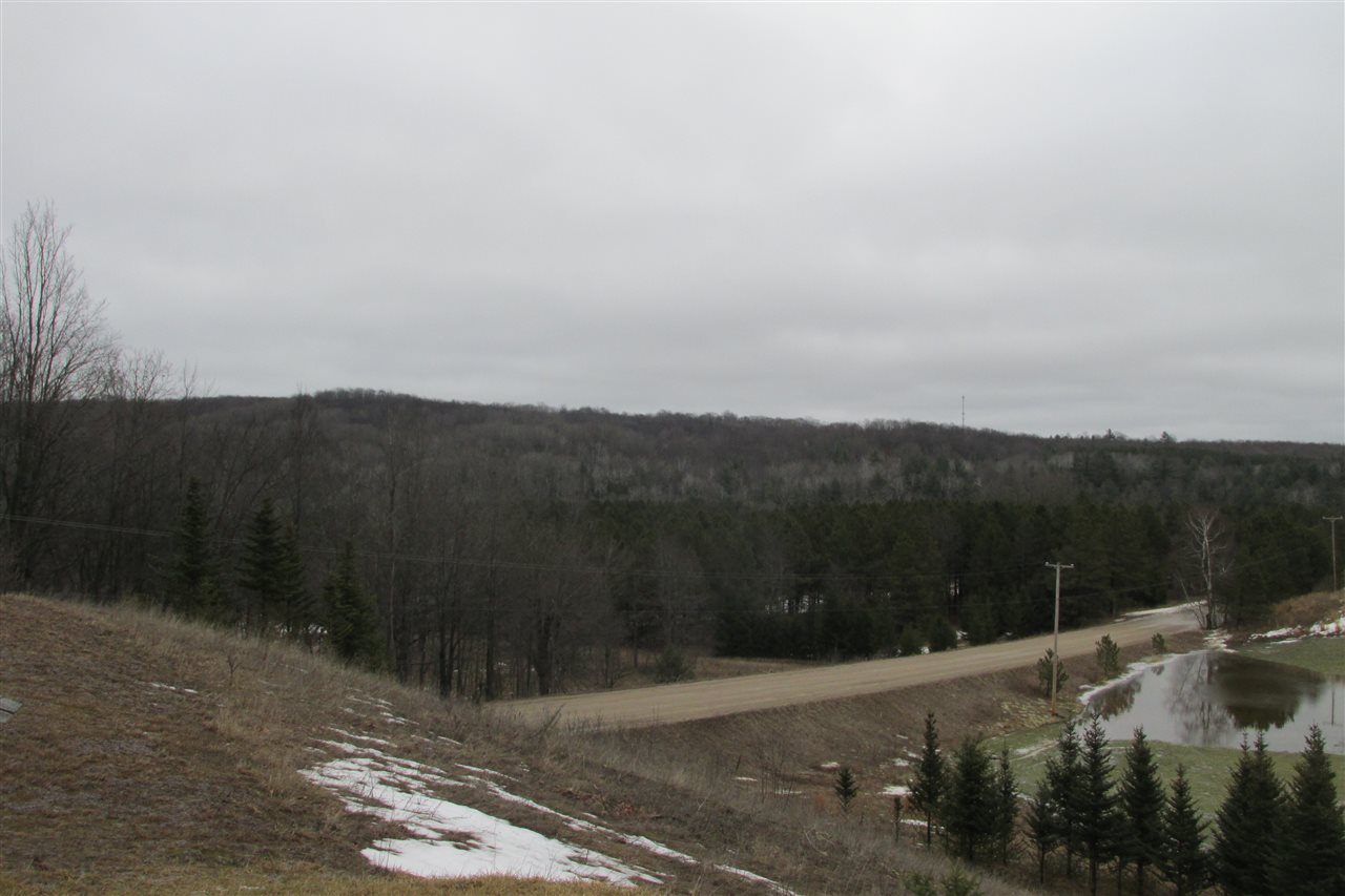 7617 West Rhoby Road Manton, MI 49663 - Photo 15 of 24 1843006-14.JPG