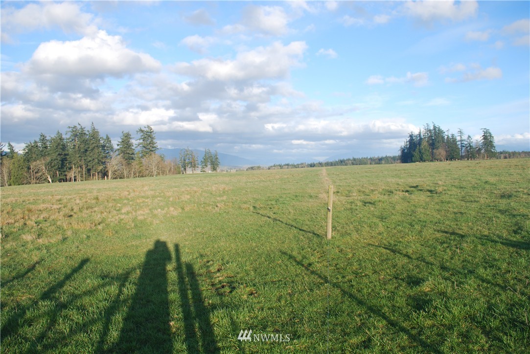9695 Bayview Edison Road Bow, WA 98232 - Photo 3 of 10 Gallery Image 3