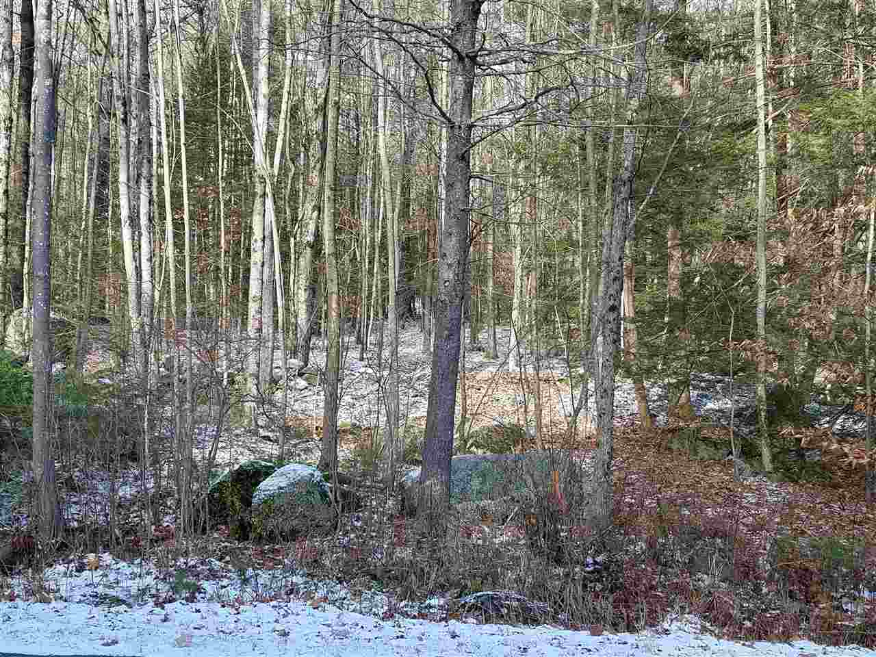 S25-l#2 Winona Shore Road Meredith, NH 03253 - Photo 14 of 17