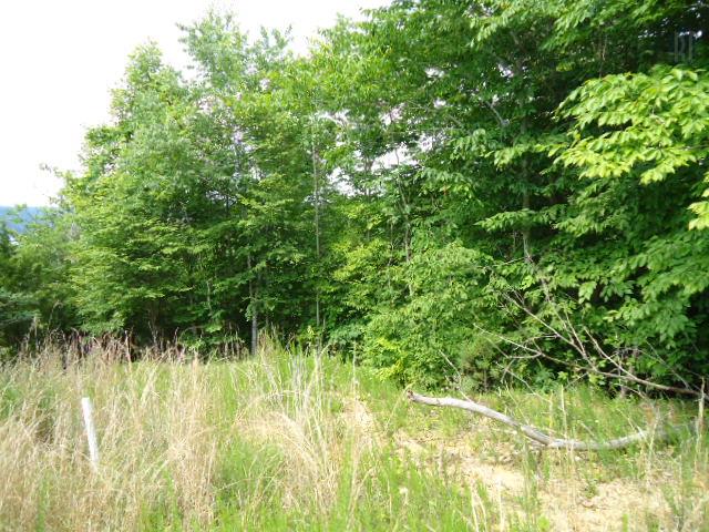 10 63 Ac Turkey Ridge Road Byrdstown, TN 38549 - Photo 2 of 17 Gallery Image 2