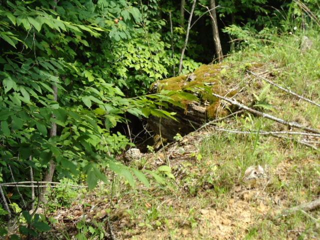 10 63 Ac Turkey Ridge Road Byrdstown, TN 38549 - Photo 12 of 17 Gallery Image 12