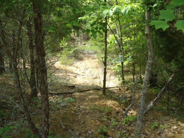 10 63 Ac Turkey Ridge Road Byrdstown, TN 38549 - Photo 13 of 17 Gallery Image 13