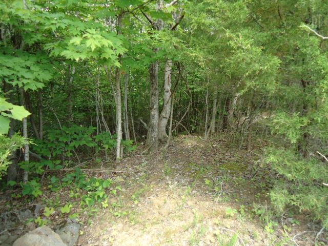 10 63 Ac Turkey Ridge Road Byrdstown, TN 38549 - Photo 14 of 17 Gallery Image 14