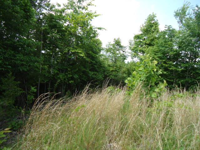 10 63 Ac Turkey Ridge Road Byrdstown, TN 38549 - Photo 3 of 17 Gallery Image 3