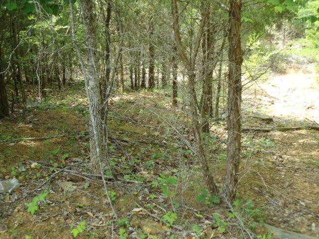 10 63 Ac Turkey Ridge Road Byrdstown, TN 38549 - Photo 4 of 17 Gallery Image 4