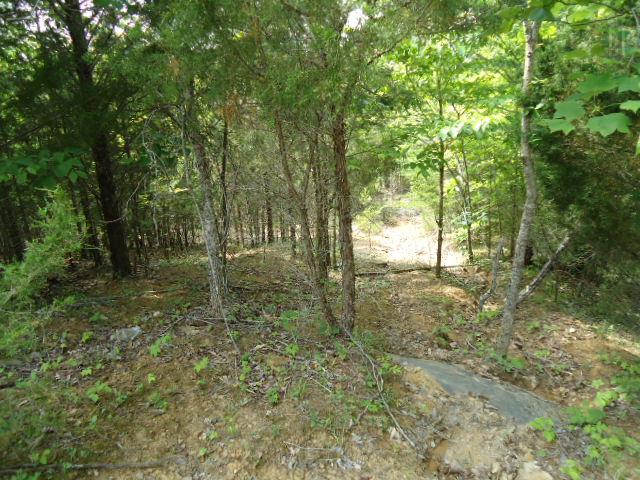 10 63 Ac Turkey Ridge Road Byrdstown, TN 38549 - Photo 5 of 17 Gallery Image 5