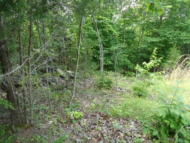 10 63 Ac Turkey Ridge Road Byrdstown, TN 38549 - Photo 7 of 17 Gallery Image 7