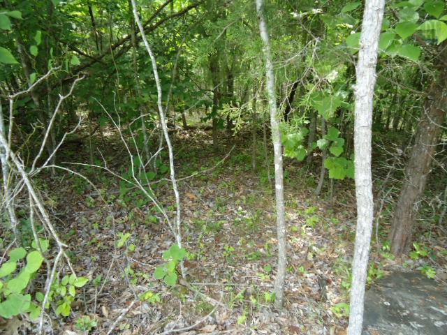 10 63 Ac Turkey Ridge Road Byrdstown, TN 38549 - Photo 8 of 17 Gallery Image 8