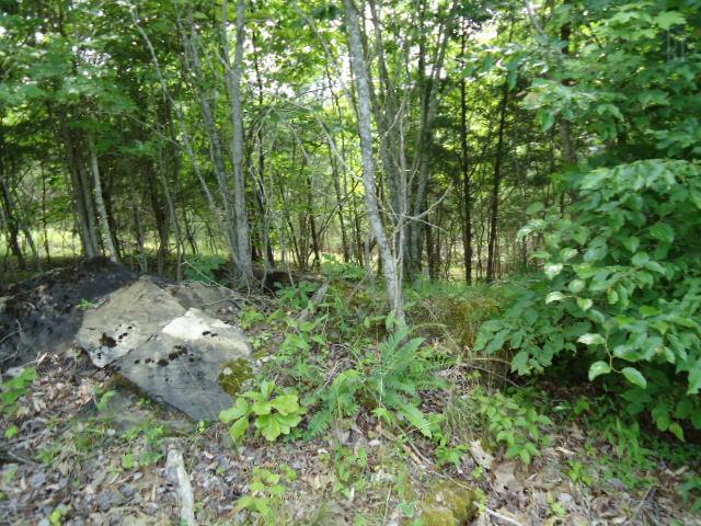 10 63 Ac Turkey Ridge Road Byrdstown, TN 38549 - Photo 10 of 17 Gallery Image 10