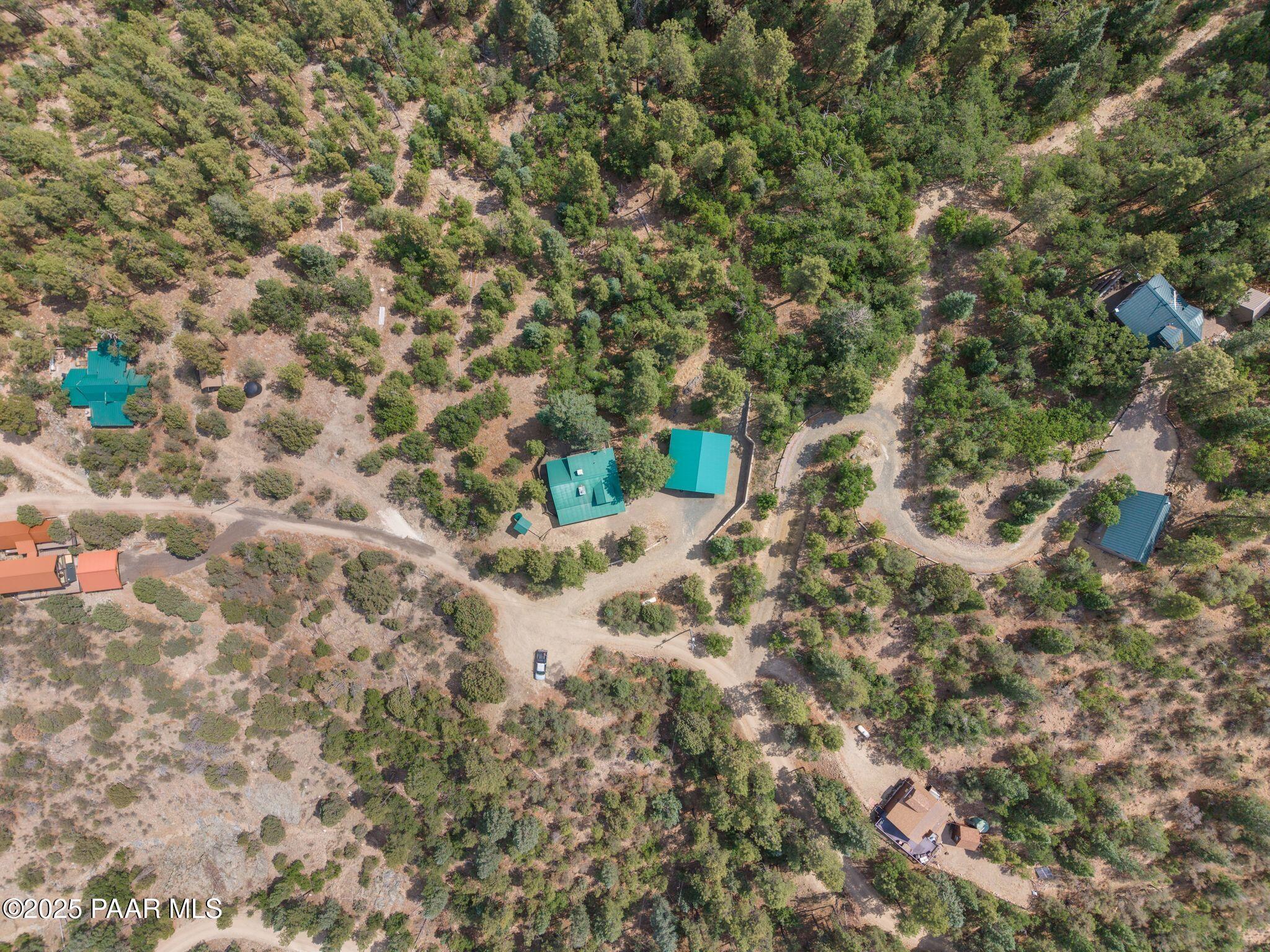 4575 East Combination Lane Prescott, AZ 86303 - Photo 49 of 50 a view of a forest with a tree