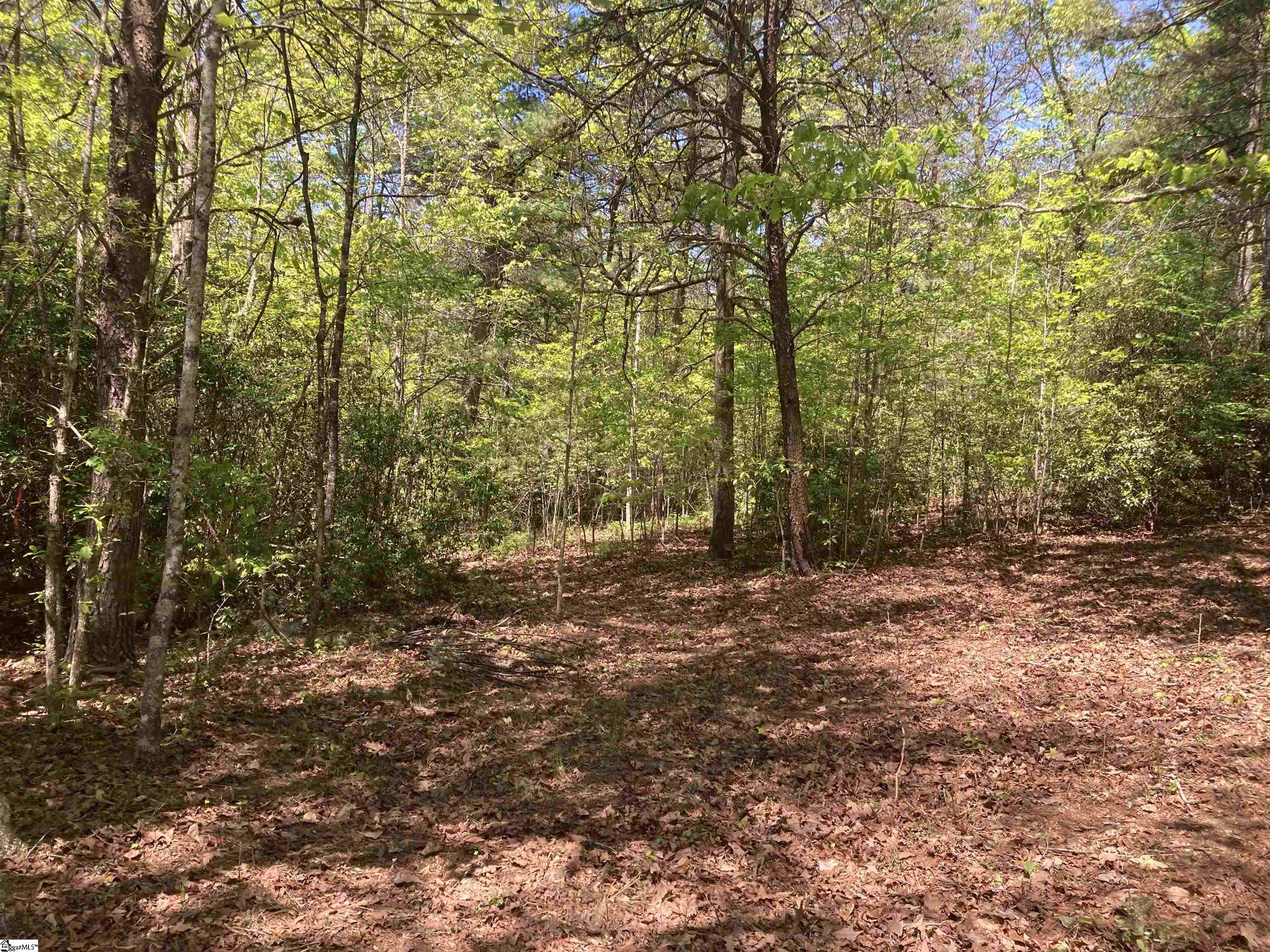 2 Darting Sparrow Way Marietta, SC 29661 - Photo 2 of 4