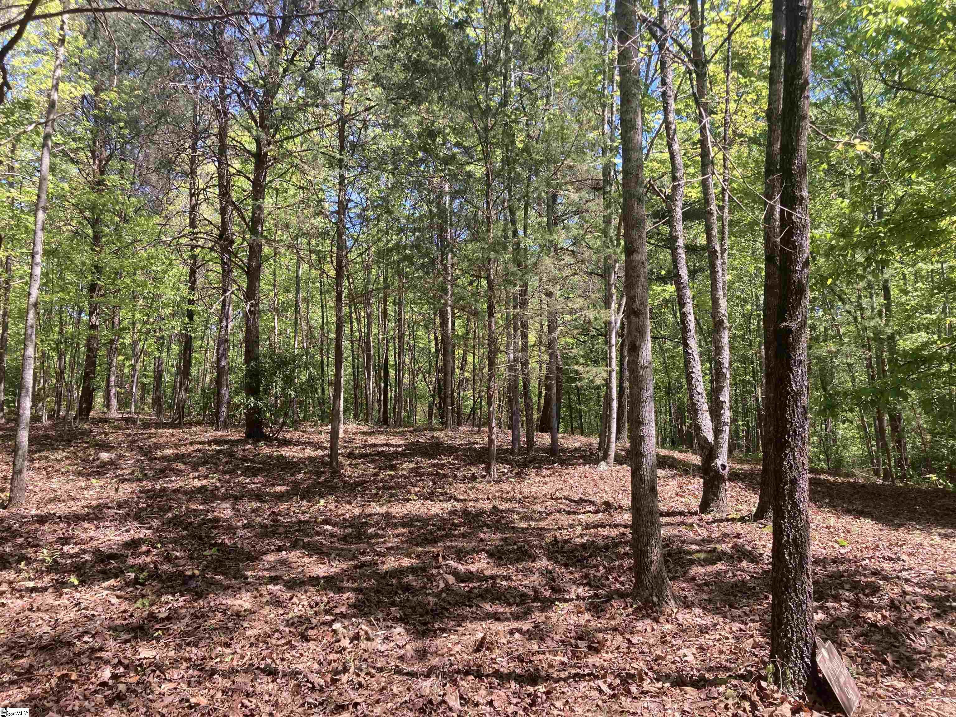 2 Darting Sparrow Way Marietta, SC 29661 - Photo 3 of 4