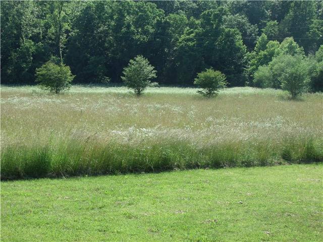 6800 Beech Hill Road Pulaski, TN 38478 - Photo 4 of 9