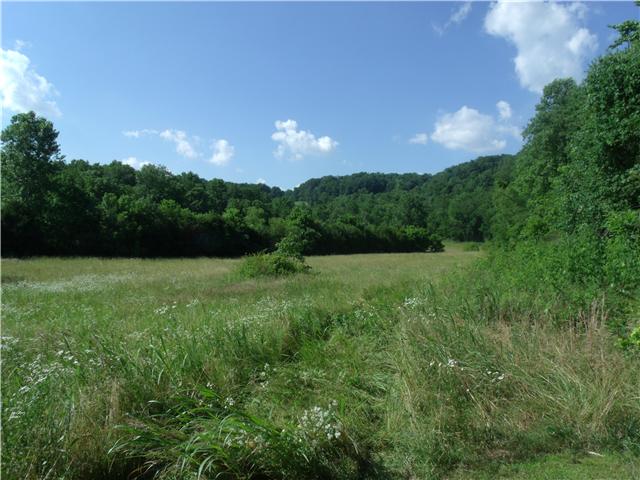 6800 Beech Hill Road Pulaski, TN 38478 - Photo 5 of 9