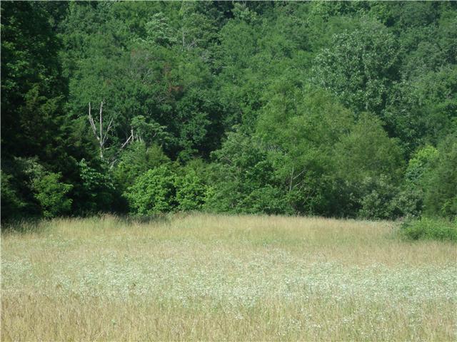 6800 Beech Hill Road Pulaski, TN 38478 - Photo 7 of 9