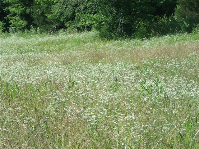 6800 Beech Hill Road Pulaski, TN 38478 - Photo 8 of 9