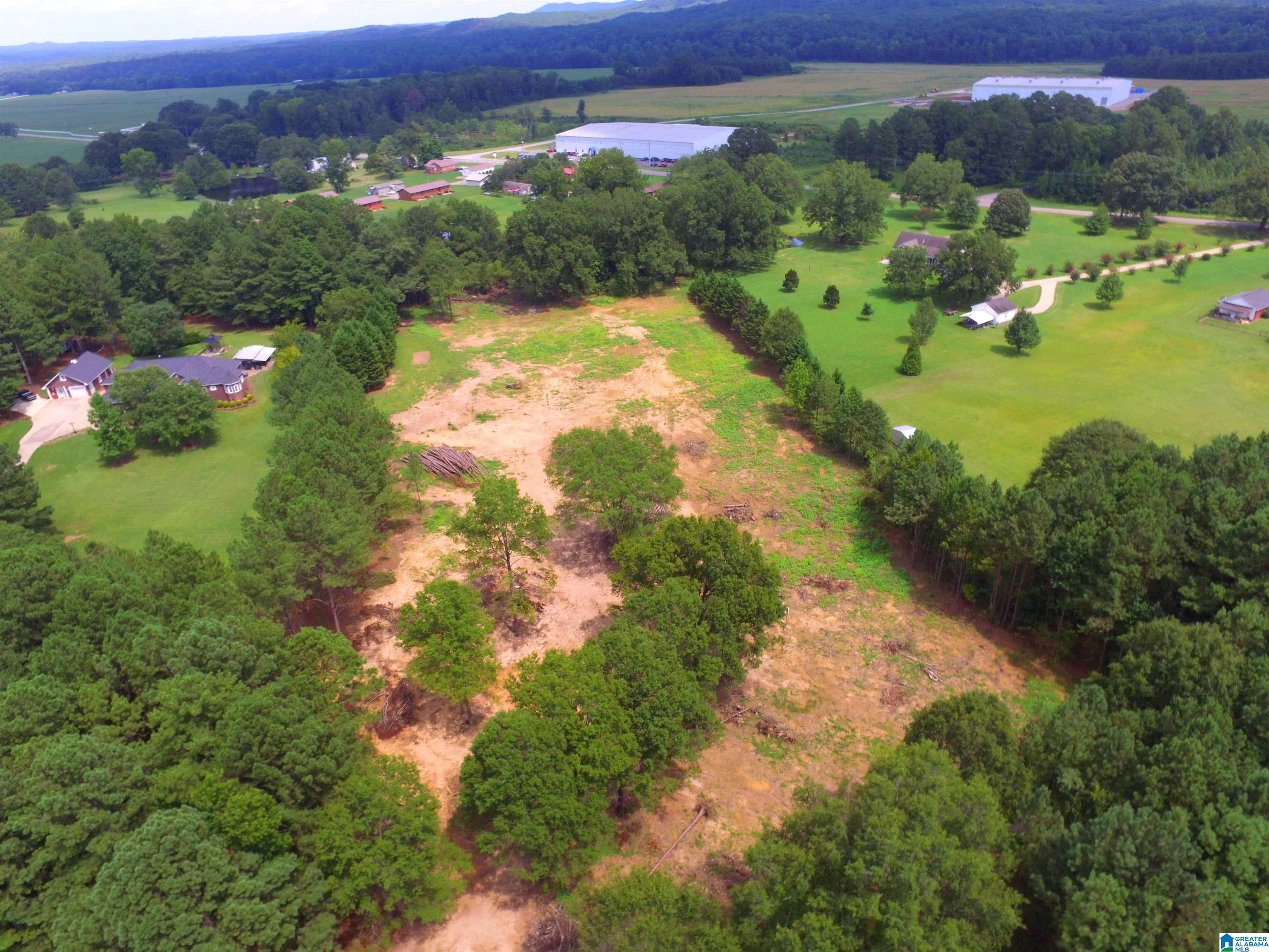 0 Lane Road, Unit 1 Oxford, AL 36203 - Photo 8 of 11