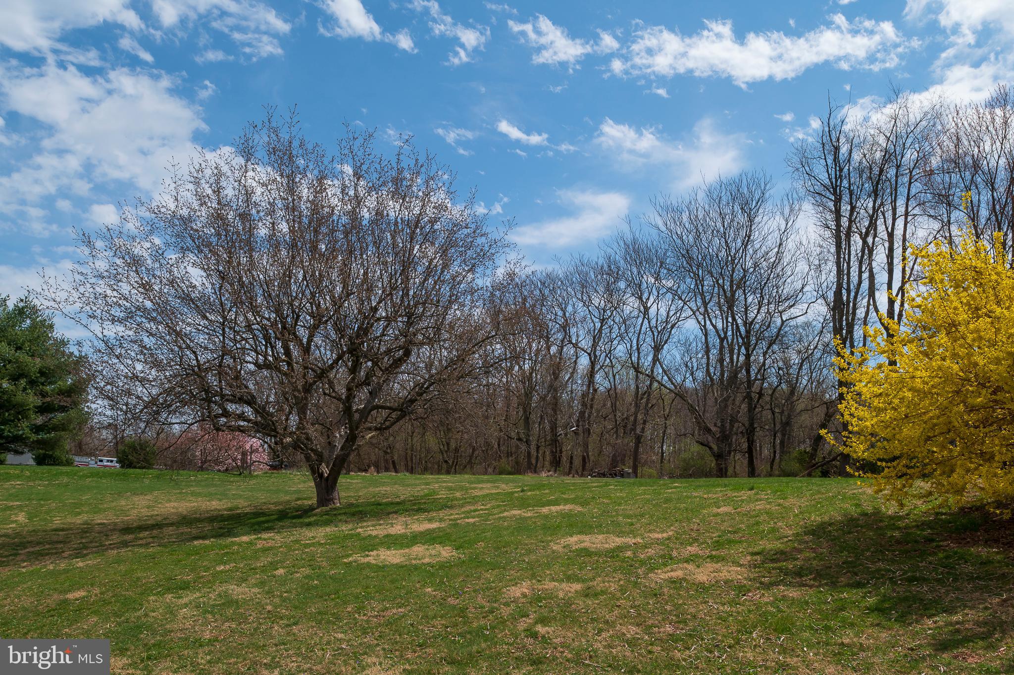 3949 Linthicum Road Dayton, MD 21036 - Photo 24 of 26 Back Yard (alt view)