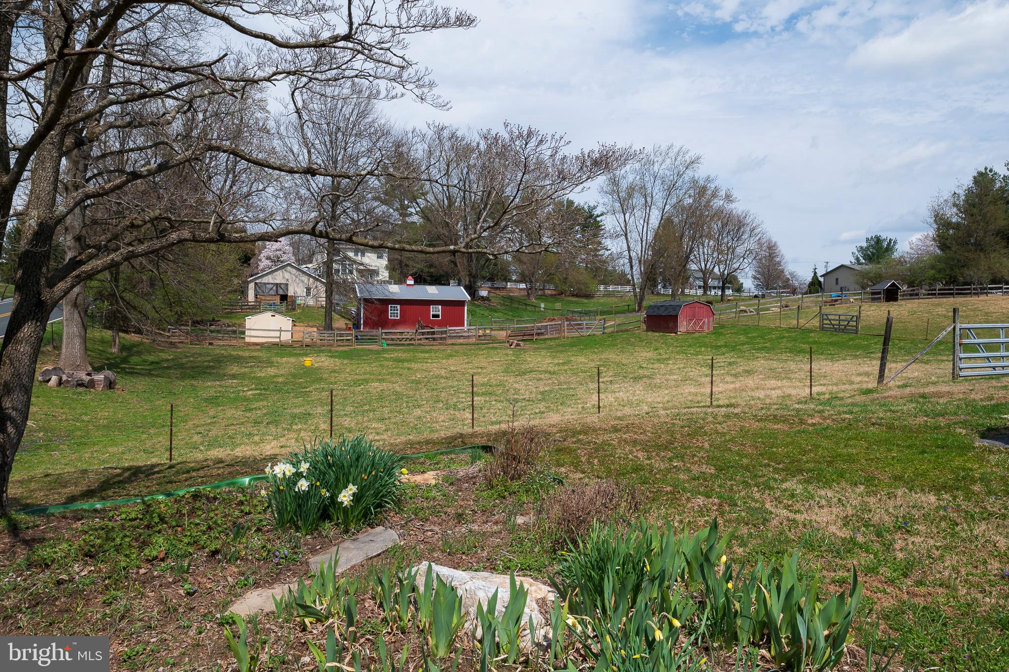 3949 Linthicum Road Dayton, MD 21036 - Photo 5 of 26 Side Yard and Pasture