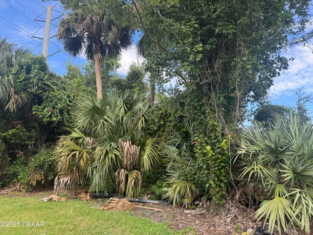 a view of a house with a tree