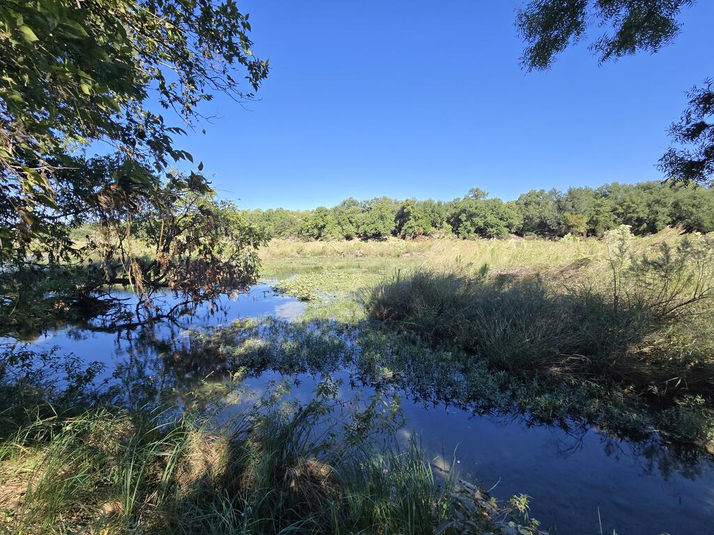 598 Dunagan Road Menard, TX 76859 - Photo 8 of 9 Gallery Image 8