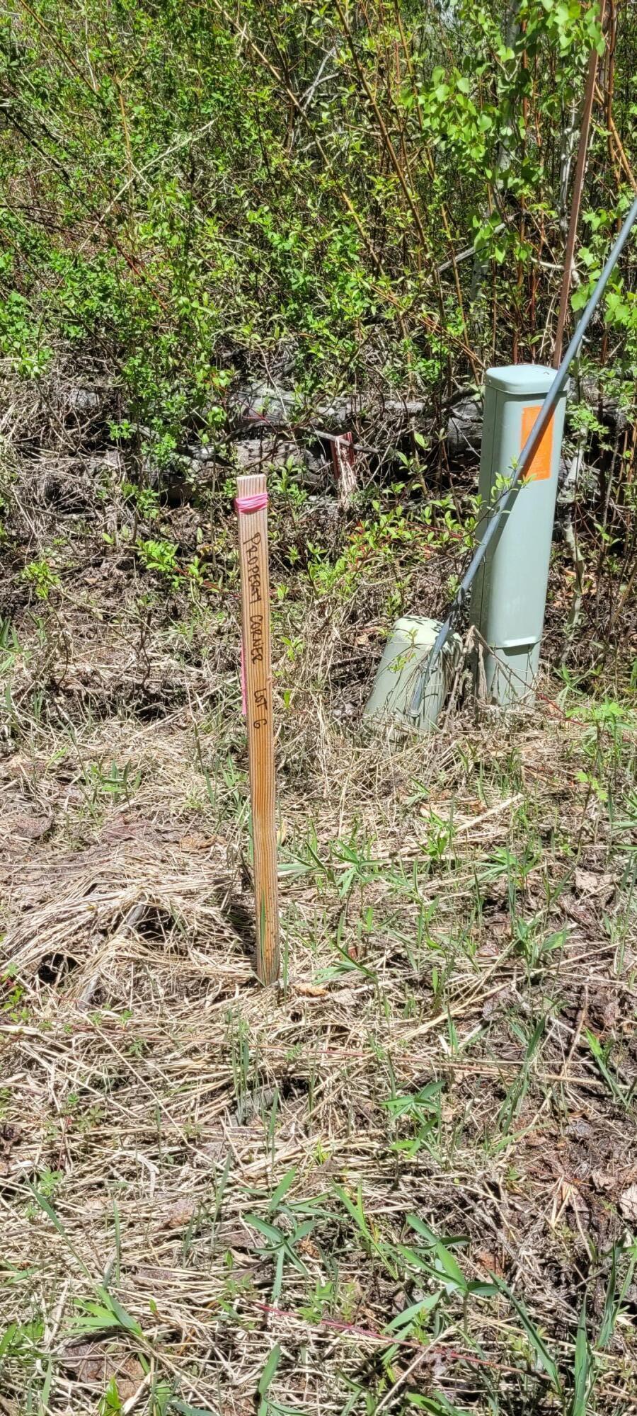 341 Cedar Street Hailey, ID 83333 - Photo 2 of 6 Corner markers