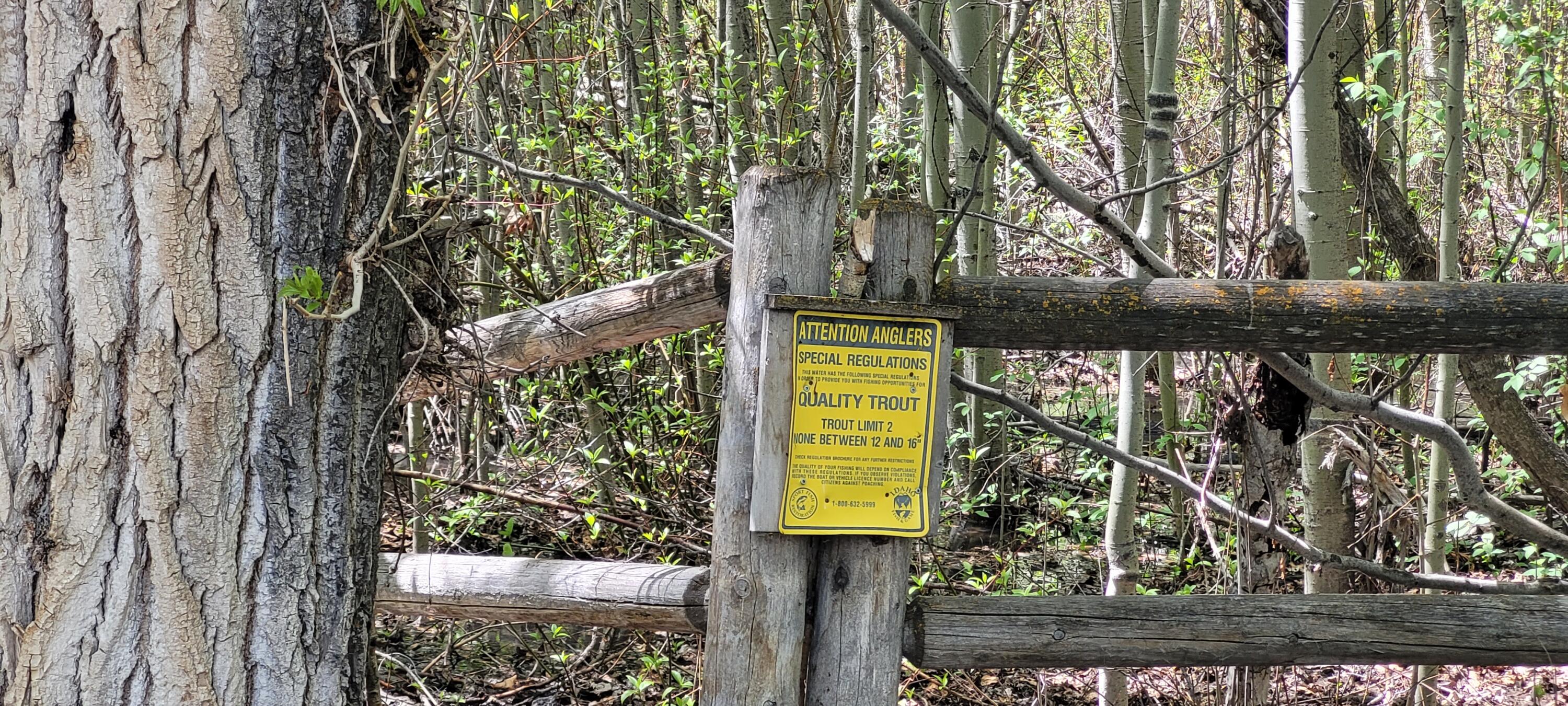 341 Cedar Street Hailey, ID 83333 - Photo 5 of 6 Draper Preserve