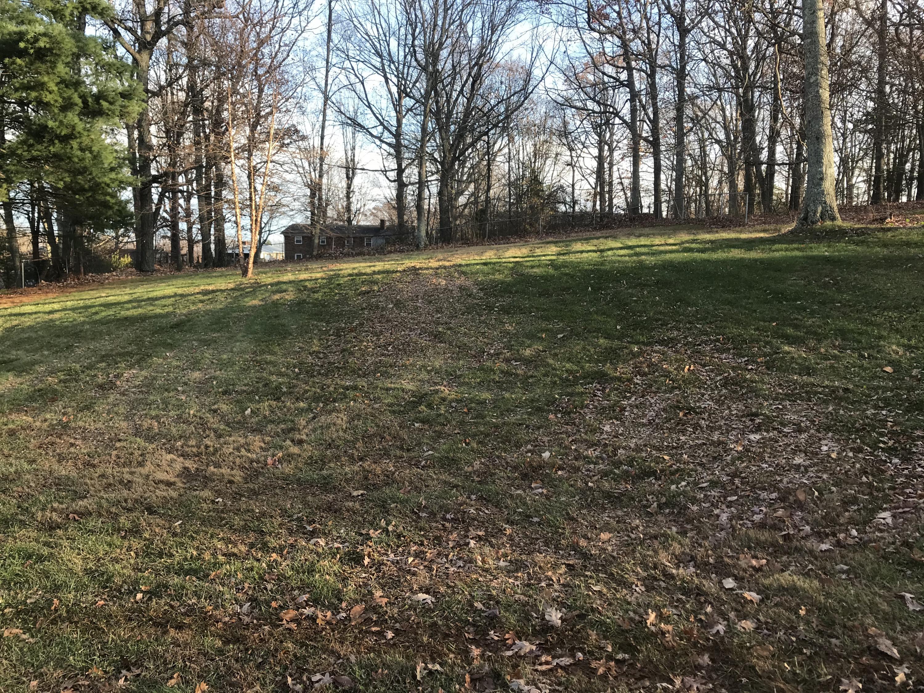 5536 Blue Ridge Drive Hurt, VA 24563 - Photo 5 of 14 a backyard of apartments with large trees