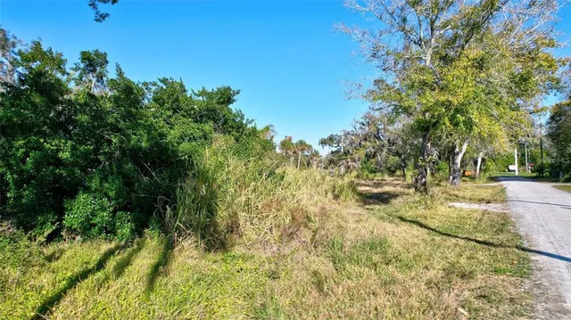 a view of yard with trees