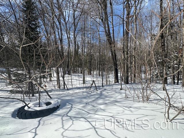101 Hill Farm Road Crystal Falls, MI 49920 - Photo 22 of 24
