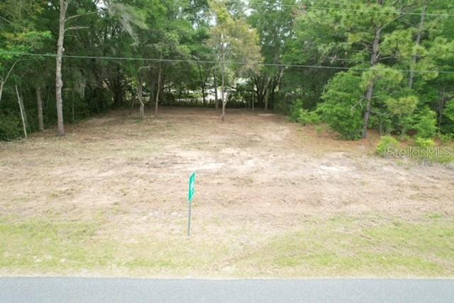 Tbd Southwest Beach Boulevard Dunnellon, FL 34431 - Photo 3 of 12
