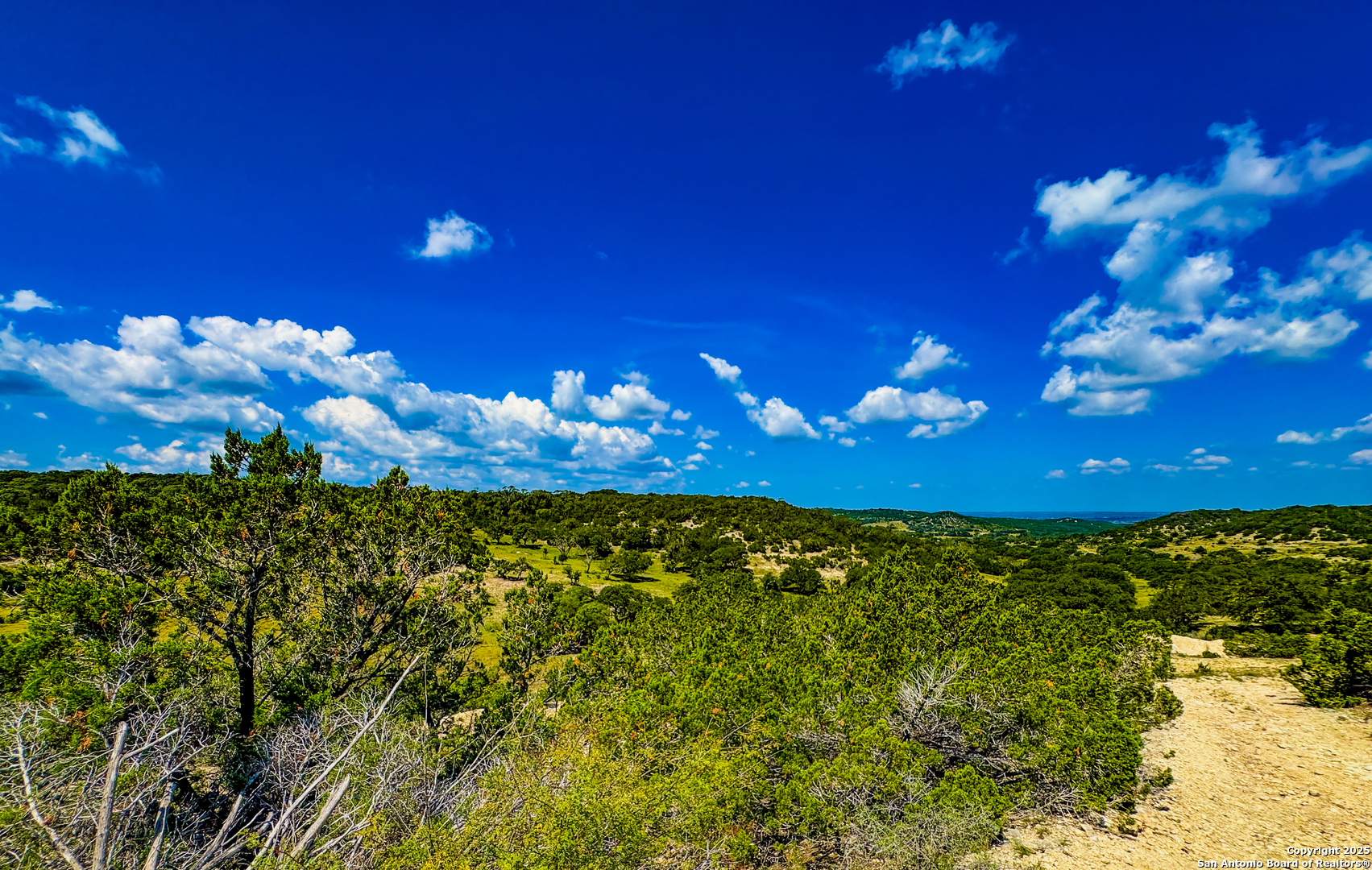 380 Holiday Road Comfort, TX 78013 - Photo 4 of 19 a view of a yard with yellow lighting