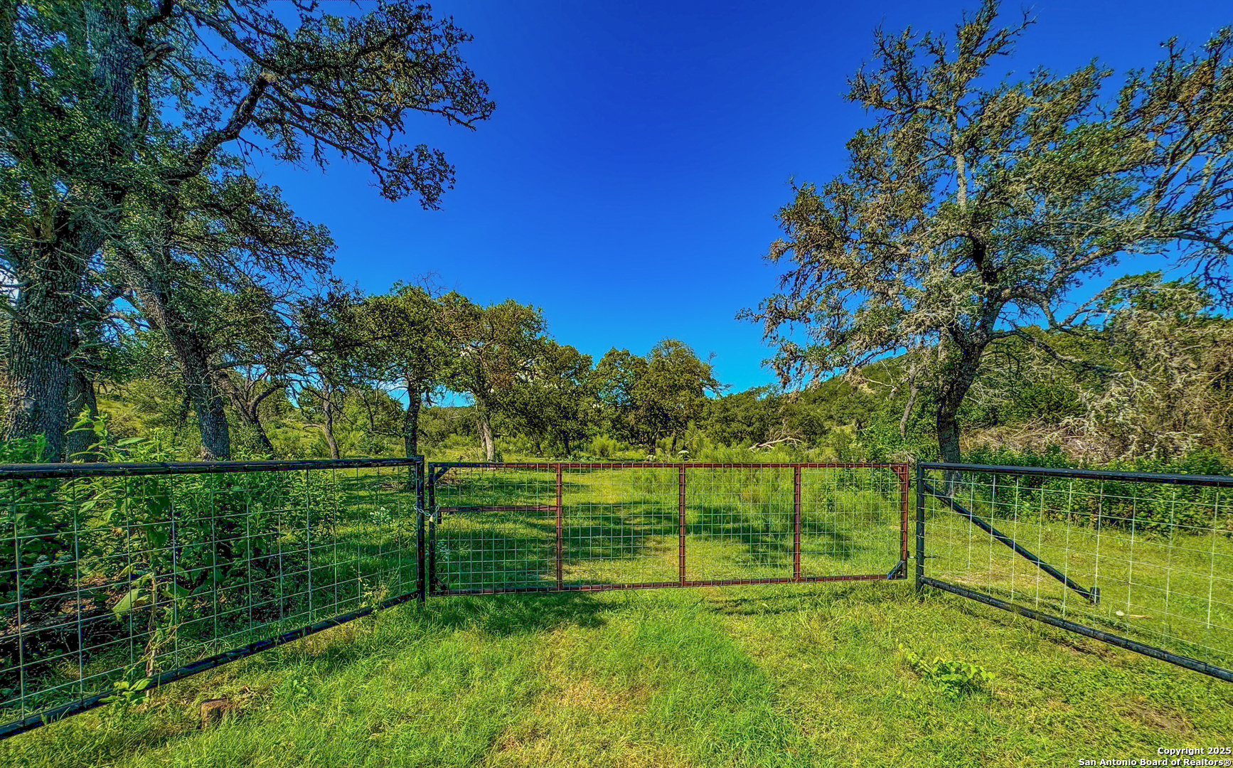 380 Holiday Road Comfort, TX 78013 - Photo 5 of 19 a view of a park with large trees