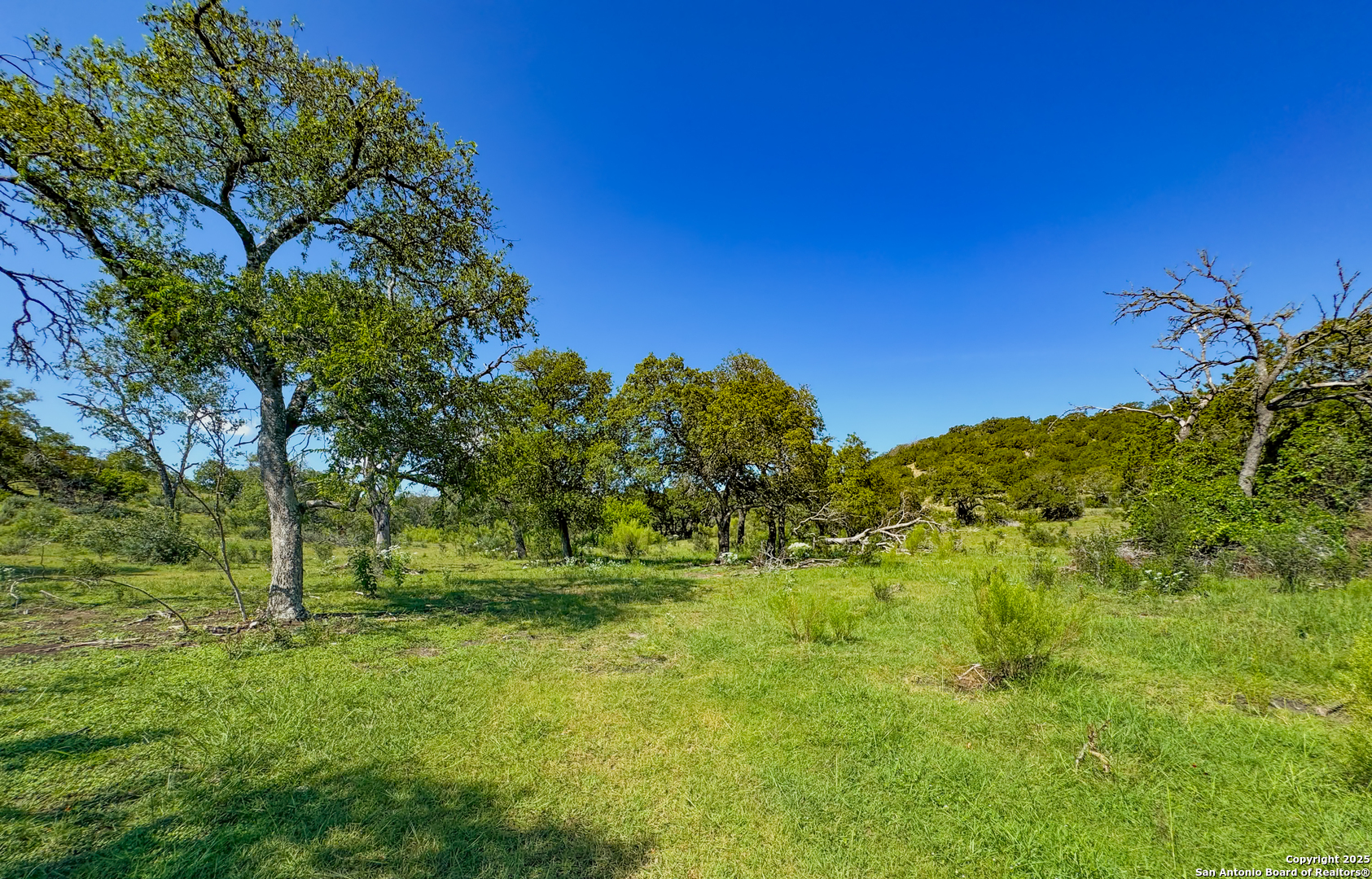 380 Holiday Road Comfort, TX 78013 - Photo 6 of 19 a view of a garden with a tree