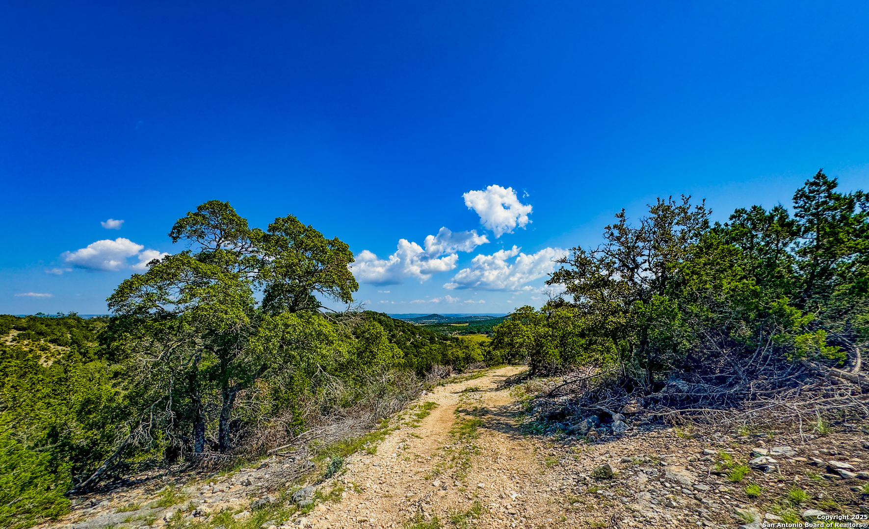 380 Holiday Road Comfort, TX 78013 - Photo 7 of 19 a view of a flower in a garden