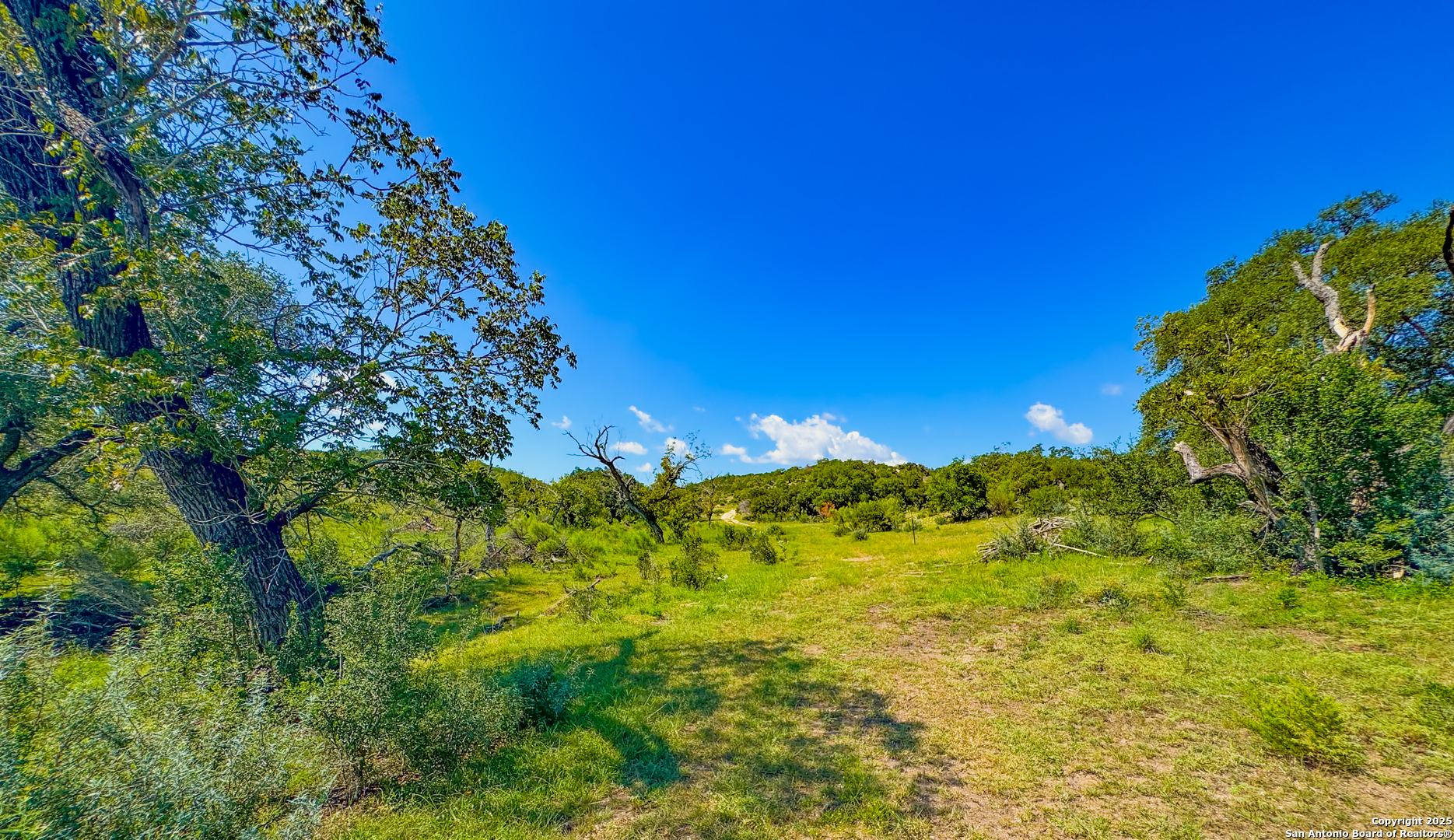 380 Holiday Road Comfort, TX 78013 - Photo 8 of 19 a view of a garden