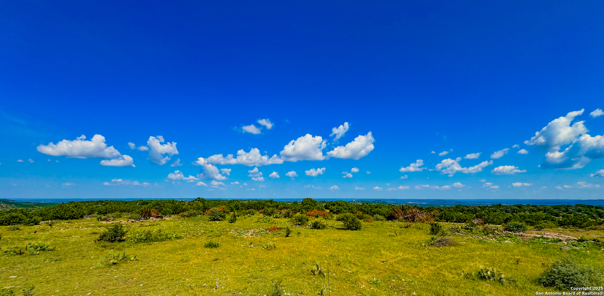 380 Holiday Road Comfort, TX 78013 - Photo 10 of 19 a view of a yard with an ocean