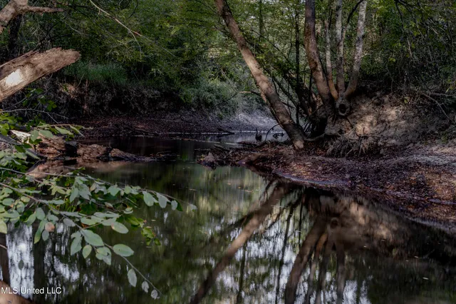 $1,799,000 | 1711 Highway 82, Eupora, MS 39744