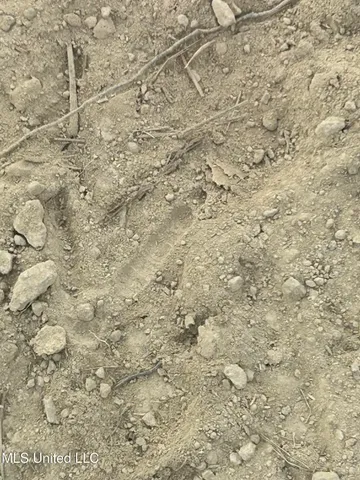 $1,799,000 | 1711 Highway 82, Eupora, MS 39744