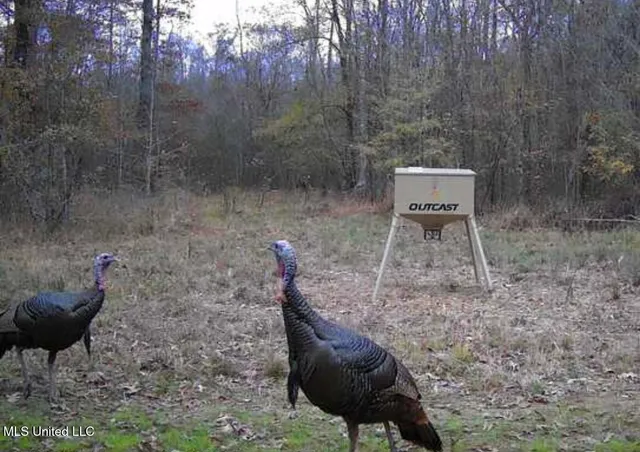 $1,799,000 | 1711 Highway 82, Eupora, MS 39744