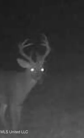 $1,799,000 | 1711 Highway 82, Eupora, MS 39744