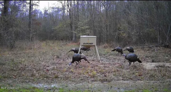 $1,799,000 | 1711 Highway 82, Eupora, MS 39744