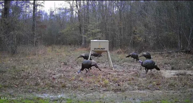 $1,799,000 | 1711 Highway 82, Eupora, MS 39744